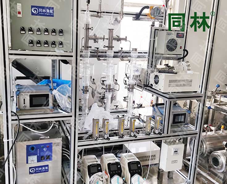 同林多級臭氧催化氧化實(shí)
